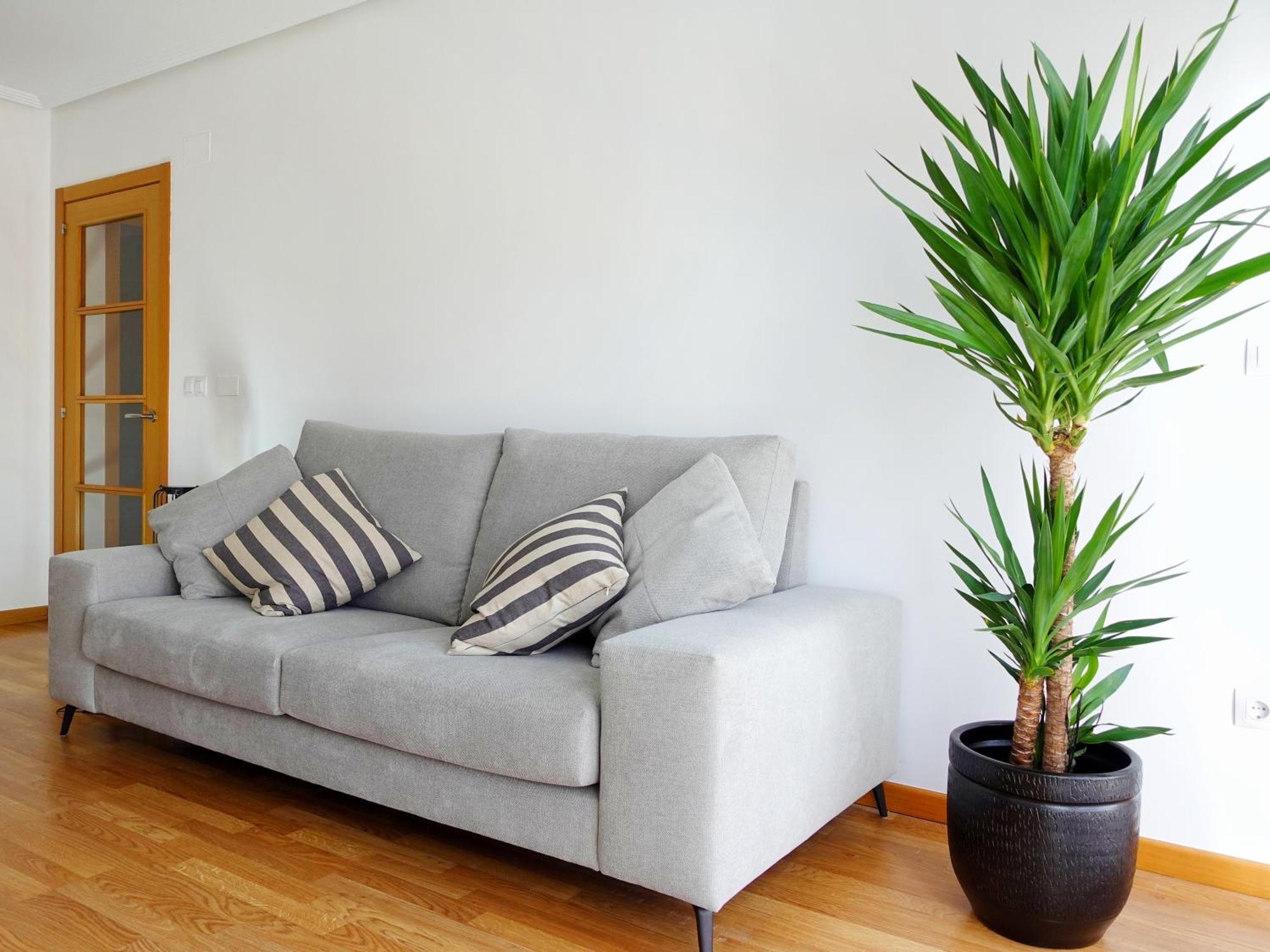 Atalaia Apartment Foz Kültér fotó